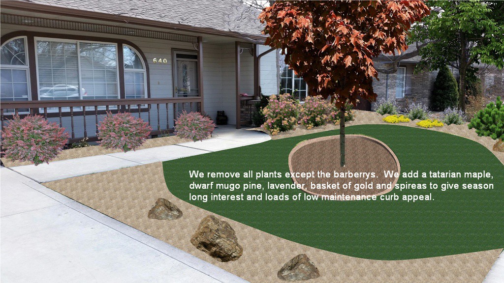 By removing the evergreens and adding concrete curbing, rock mulch and colorful shrubs and perennials, this front yard is low maintenance and beautiful.