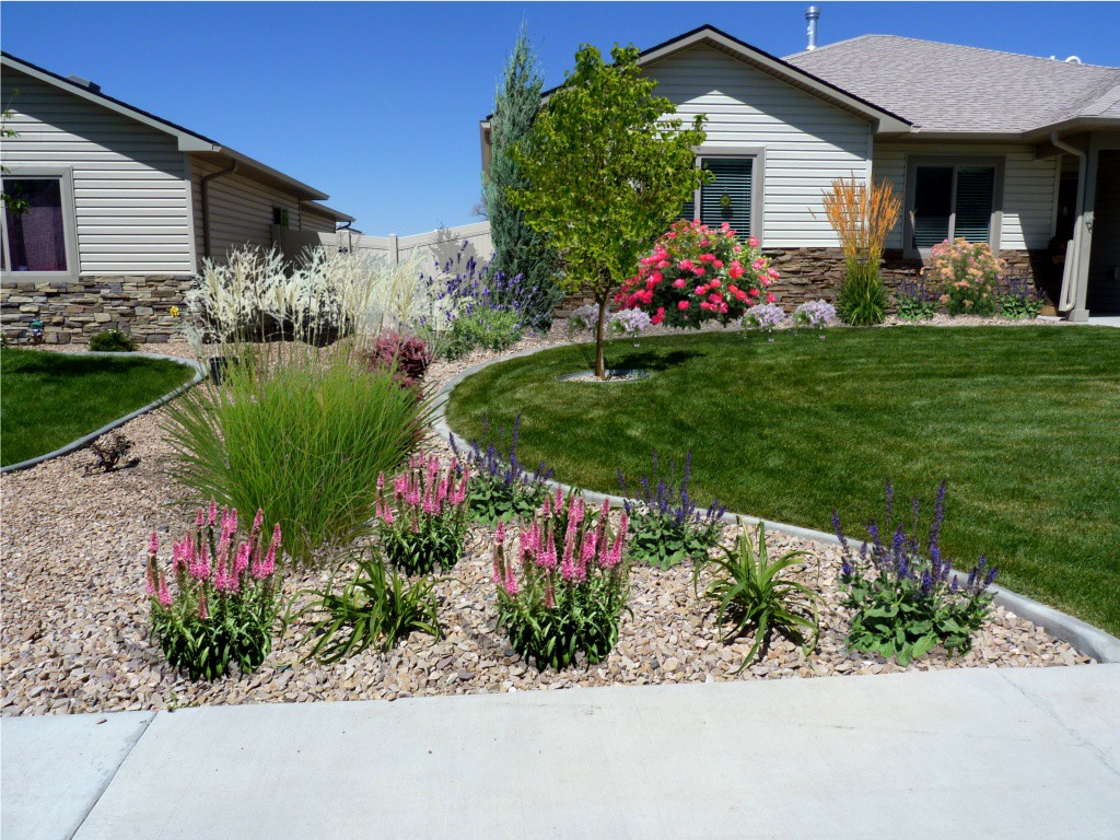 Grasses, groundcovers and perennials really make a difference in this front yard.