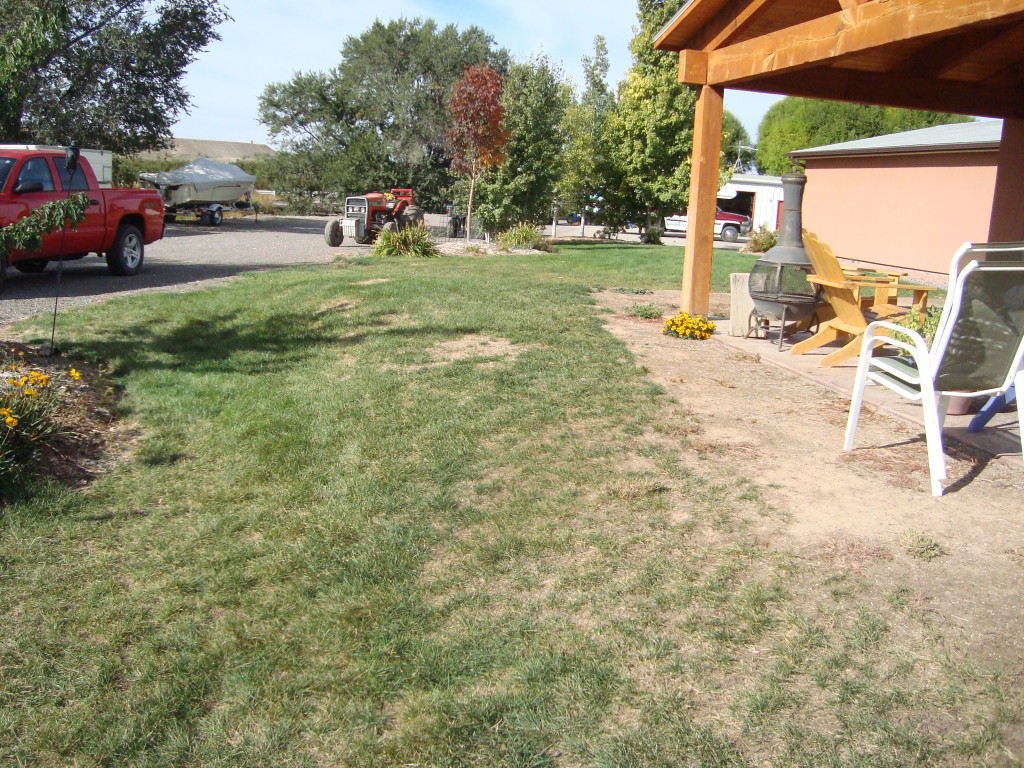Shaver patio and driveway view before design